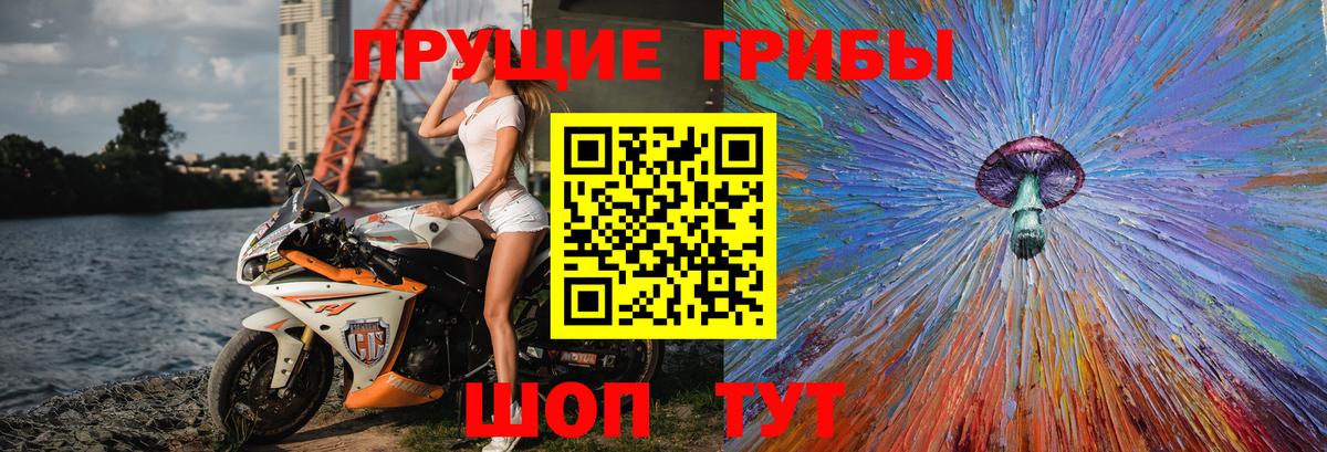 Галлюциногенные грибы прущие грибы Владикавказ